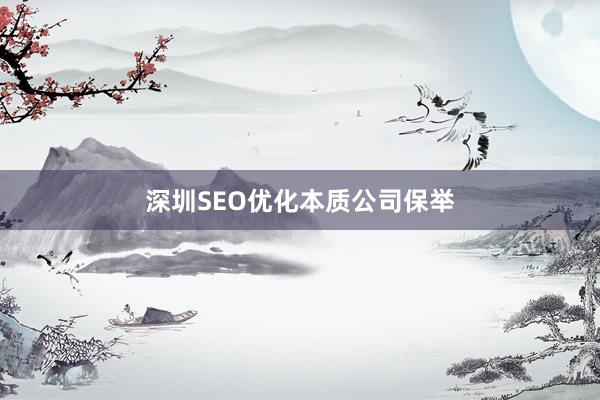 深圳SEO优化本质公司保举